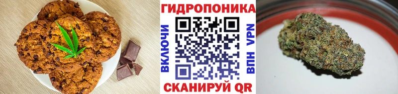 kraken ССЫЛКА  Лесосибирск  Canna-Cookies конопля 