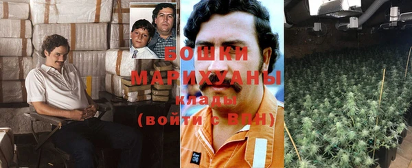 ешки Дмитриев