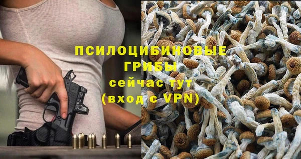 таблы Алзамай