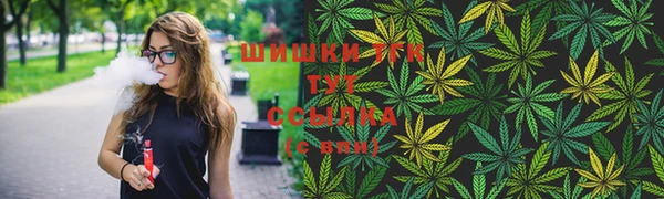 ешки Алексин