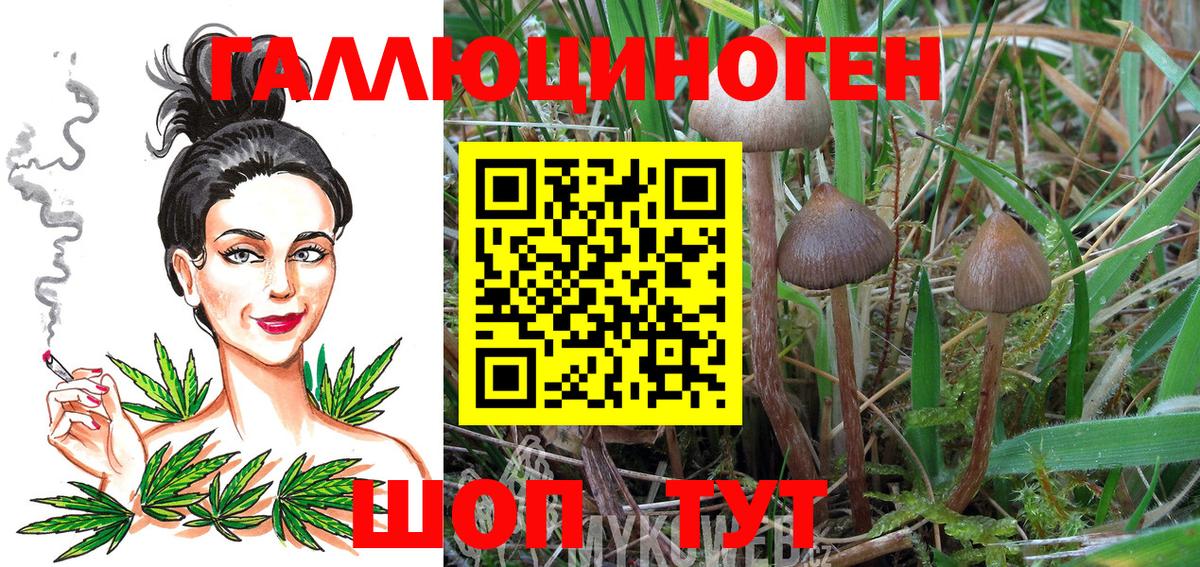 Галлюциногенные грибы Psilocybine cubensis  Псилоцибиновые грибы ЛСД  Вход с VPN  Лесосибирск 